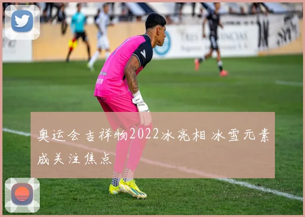 奥运会吉祥物2022冰亮相 冰雪元素成关注焦点