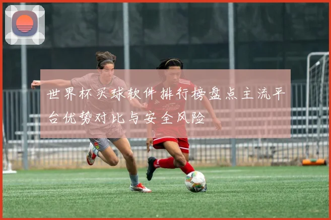 世界杯买球软件排行榜盘点主流平台优势对比与安全风险